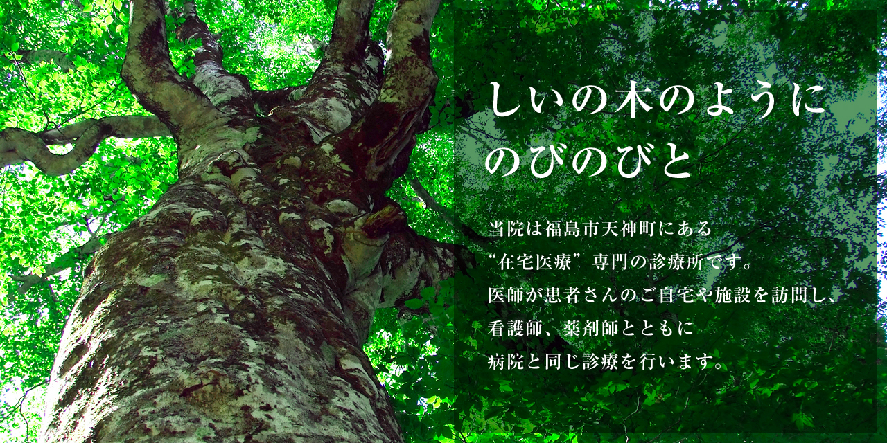 福島市 在宅医療専門の診療所 しいの木おうちクリニック(内科･緩和内科･外科･小児外科･小児科）